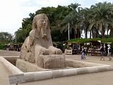 Le Caire Memphis Sphinx 0292